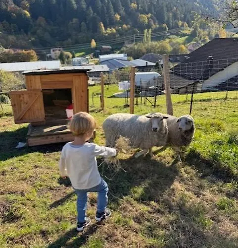Apartment La Cle Des Champs - La Grange - Jacuzzi Privee La Bresse